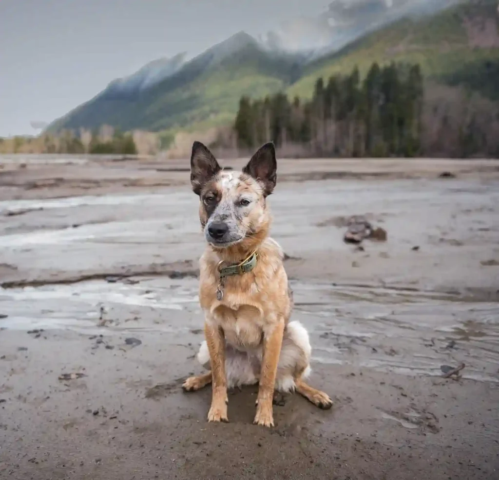 tundra theheeler 436329413 459679196596433 9058823303375829646 n