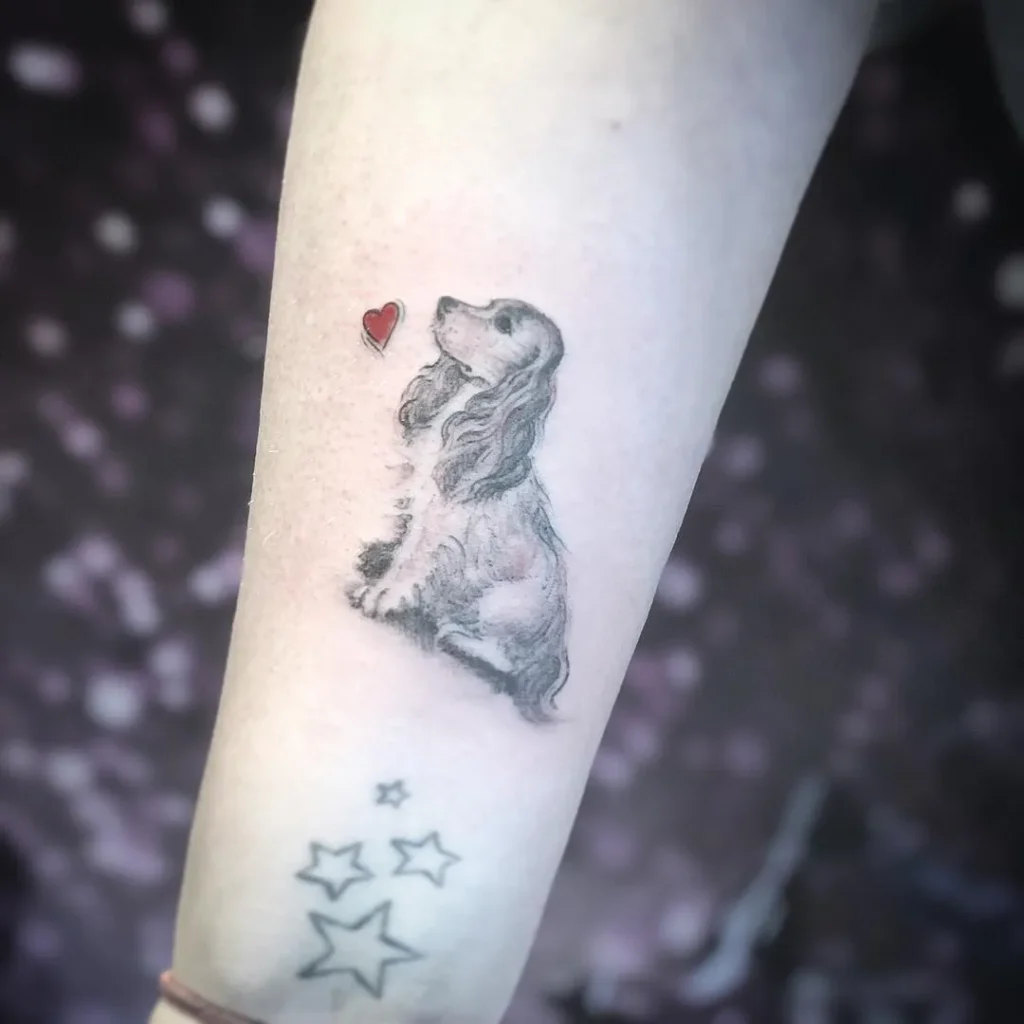 cocker spaniel tattoo 31 3