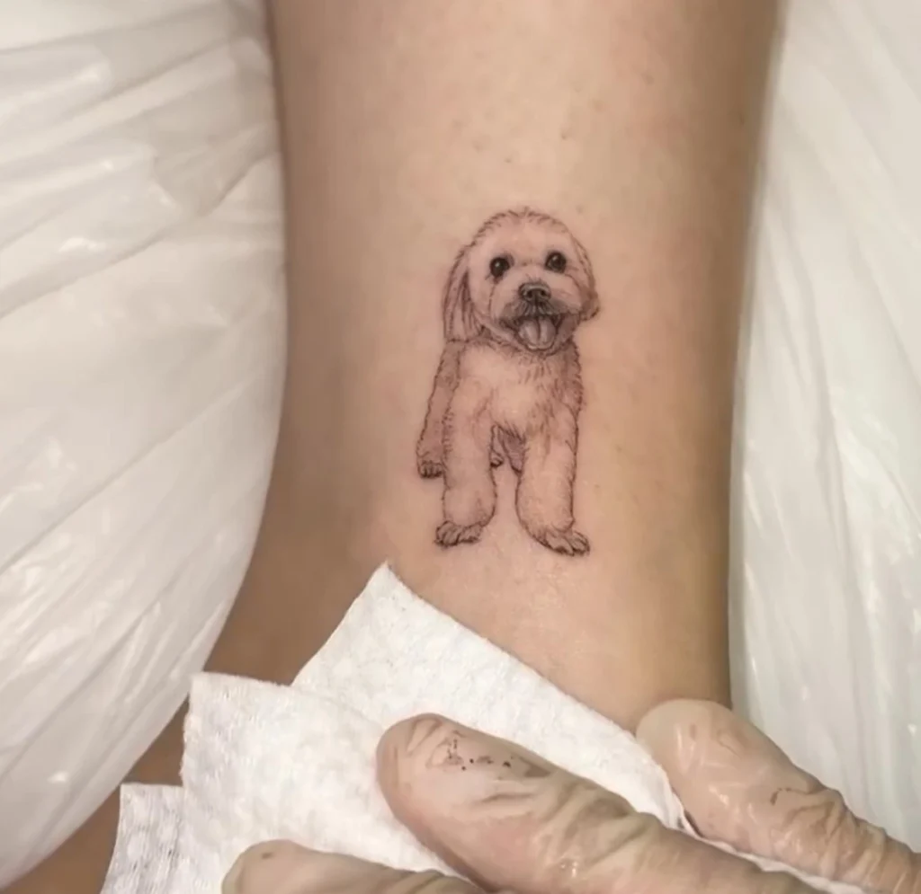 maltipoo tattoo 11