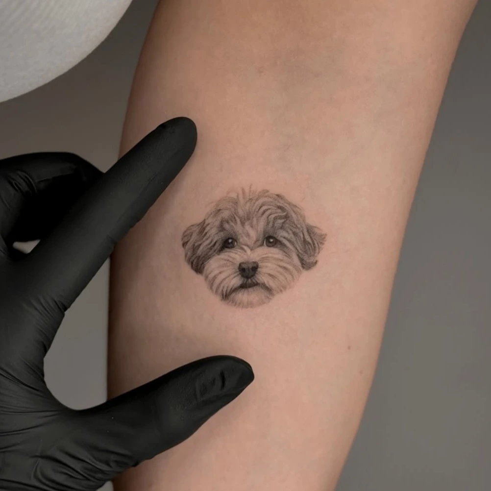 maltipoo tattoo 16 1