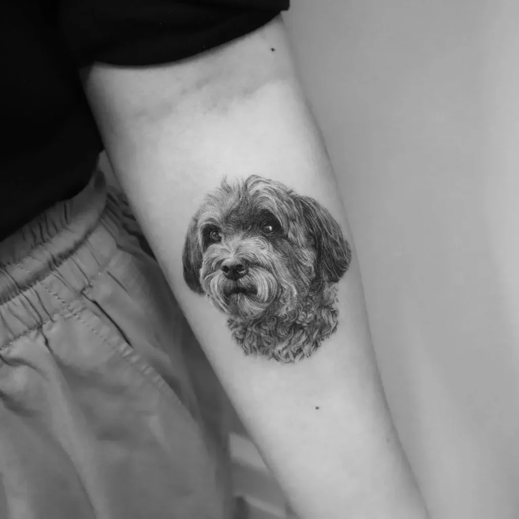 maltipoo tattoo 19