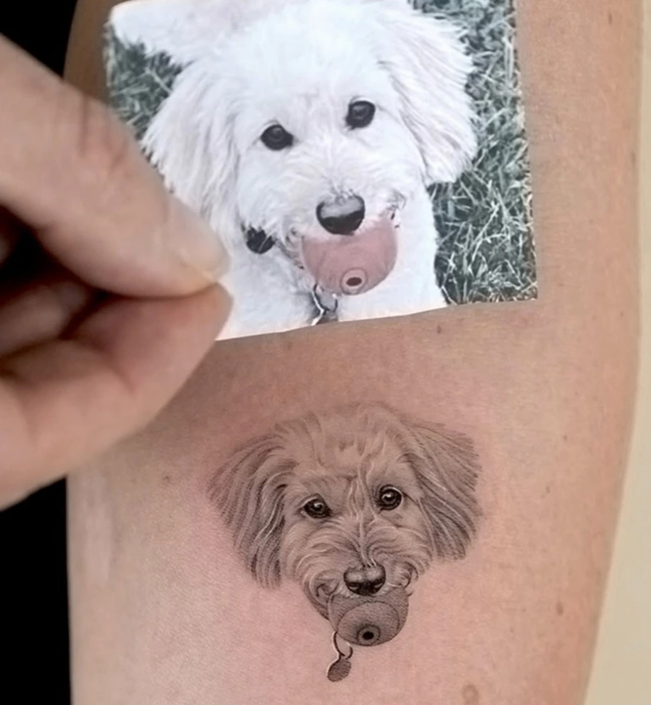 maltipoo tattoo 2