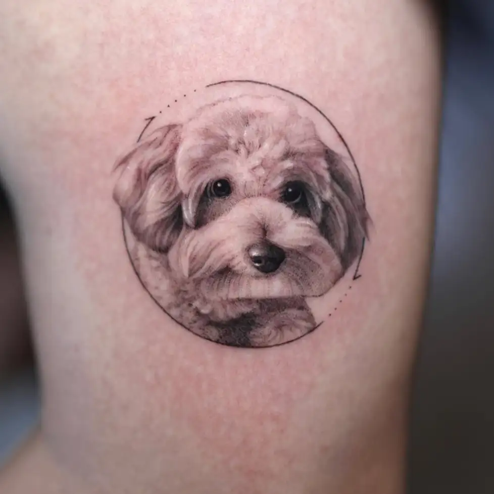 maltipoo tattoo