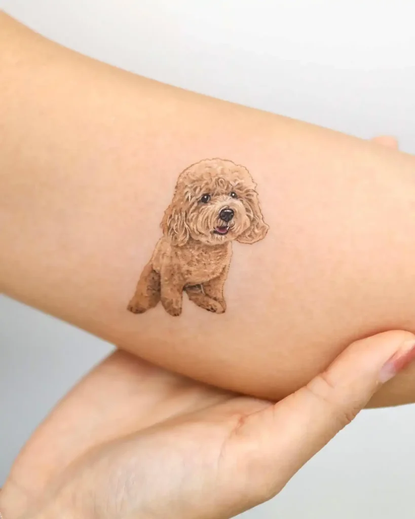 poodle tattoo 18